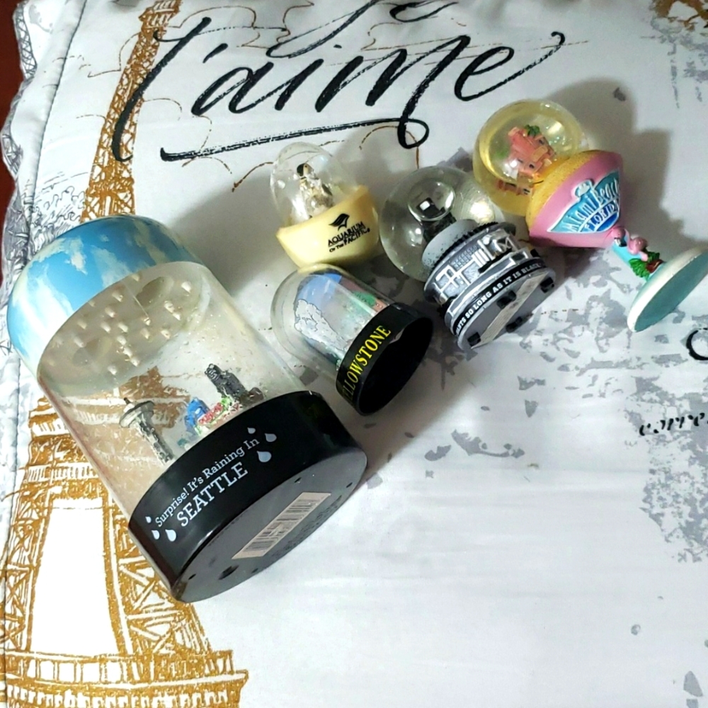 Bundle of 4 US States Snow Globes